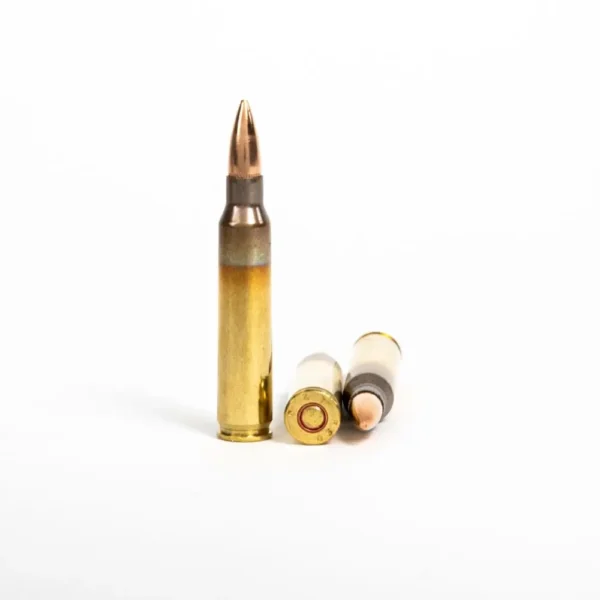 5.56x45mm – 55 gr FMJ-BT – PMC Battle Packs (5.56X-BP) – 1000 Rounds - Image 3