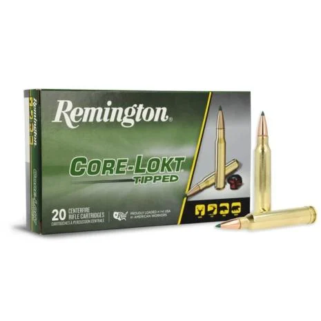 300 Win Mag – 180 gr PSP – Remington Core-Lokt