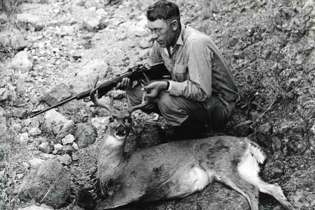 The .257 Roberts Centerfire Rifle Cartridge: Still Here